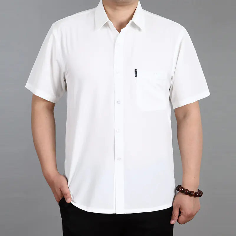 Summer Thin Long-sleeved Casual Shirts for Men